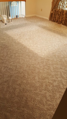 Before Carpet