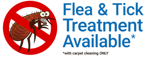 Flea and Tick